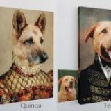 Pet Story e UPPA juntam-se em parceria para promover a adoção